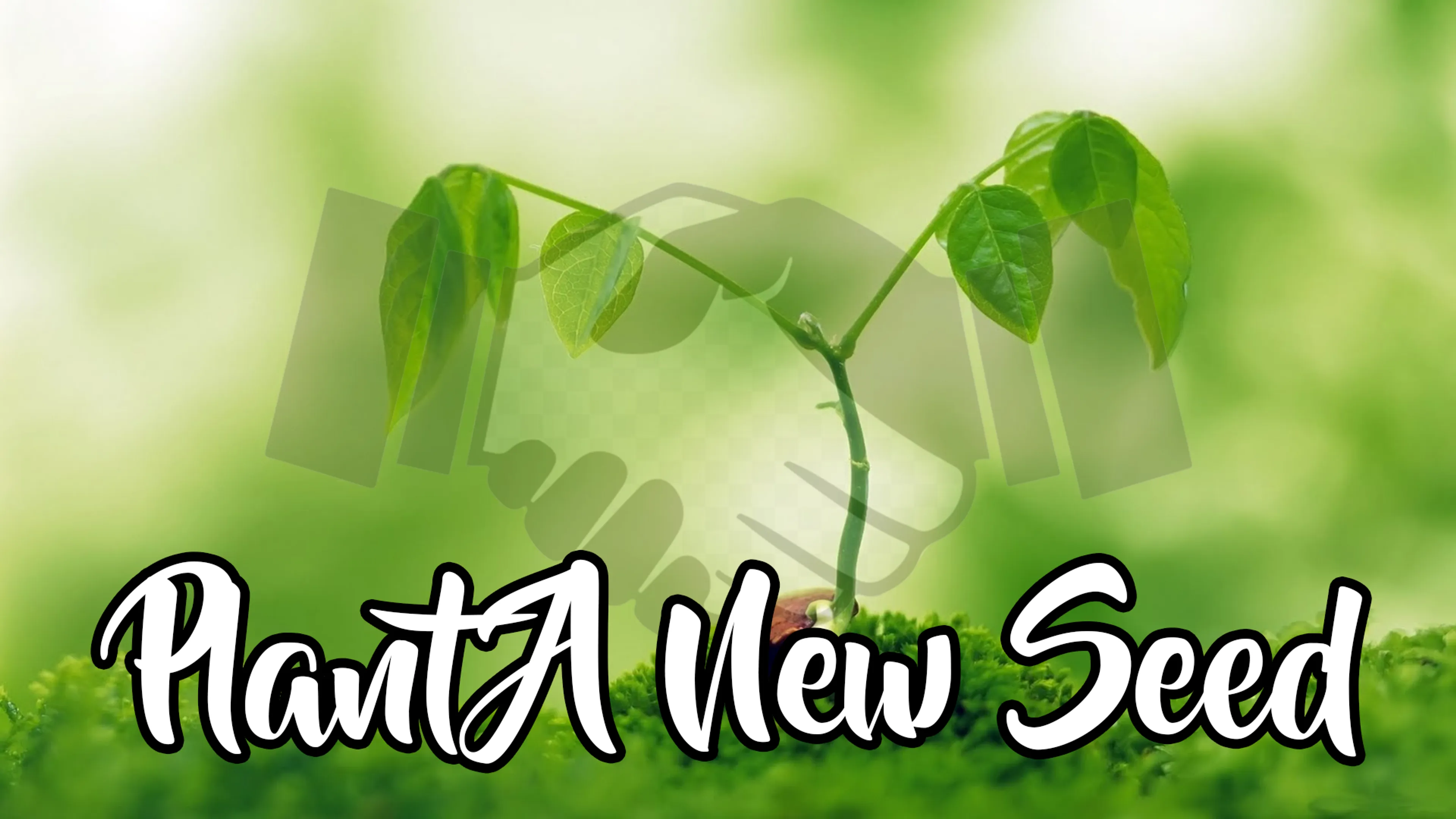 Plant A New Seed poster